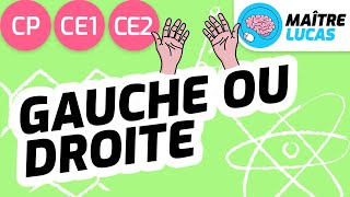 Distinguer la gauche et la droite CP  CE1  CE2  Questionner le monde  Se repérer dans lespace [upl. by Silohcin]