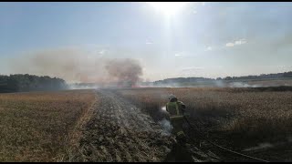 OSP Pinczyn  GCBA 1032 alarmowo do pożaru zboża w m Koźmin [upl. by Ahsinauj794]