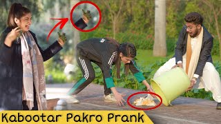 Grab My Pigeon Prank  Prank in Pakistan [upl. by Eidna]