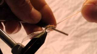 Fly Tying Instructions  Gammarus Scud AB Scud [upl. by Reiss]