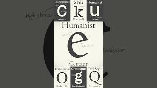 The Evolution of Humanist Fonts A Journey Through History [upl. by Lyndel353]