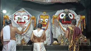 Shri Jagannath Sandhya Arati Darshan 🙏  📅 Date 03May2024 [upl. by Ebony]