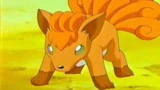 Vulpix and Growlithe  Now Your Gone [upl. by Inalaek532]