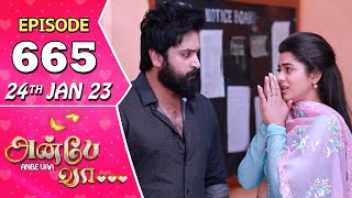 Anbe Vaa Serial  Episode 665  24th Jan 2023  Virat  Delna Davis  Saregama TV Shows Tamil [upl. by Darryn]