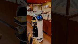 Japanese robot waitress restaurant [upl. by Cecil]