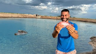 Catching FISH to Stock my 1 Acre Pond [upl. by Ahsikan]