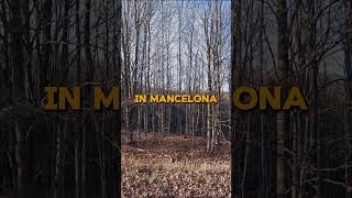 05 Acres for Sale in Mancelona Michigan for 3495 [upl. by Barmen]