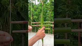 DIY  New Archer with bamboo Bamboo Craft Idea [upl. by Bugbee]