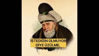 HZ MEVLANA BUYURUYOR Kİ [upl. by Chao153]