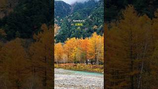 Autumn Kamikochi 🍁 japan travel mountainview kamikochi japantrip japantravel song music [upl. by Willet337]