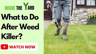 Step By Step Process What to Do After Weed Killer [upl. by Doykos]