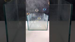 Agak syok dikit 🤏 bubble floating dryice experiment [upl. by Wolfram516]