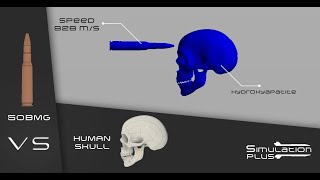 50BMG Vs Human Skull  Simulation [upl. by Farnham]