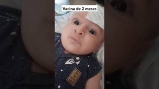 Bebê de 2 meses falante  vacina de 2 meses maternidade bebe filhos familia falante nenem [upl. by Kosey]