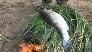 Finnish fish delicacies on an open fire [upl. by Candace299]