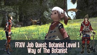 FFXIV Botanist BTN Job Quest Level 1  Way Of The Botanist [upl. by Nellda]