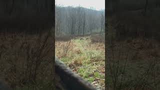 wvdeerseason Tyler’s WV Doe Gun Kill [upl. by Adnana]