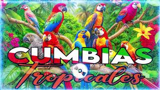 🔆CUMBIAS TROPICALES MIX 🦜VIEJITAS TROPICALES🎺ACAPULCO TROPICAL TROPICAL FLORIDA LOS KARKIS [upl. by Sollars]