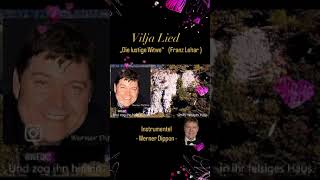 Vilja Lied  Instrumentel  Werner Dippon … [upl. by Krauss47]