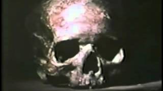 The Comedy Stylings of A Very Tangible Human Skull [upl. by Londoner]