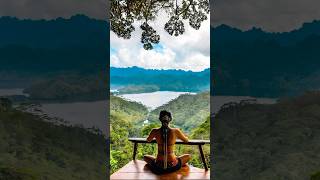 Best ayahuasca retreats in the world bestretreats retreat travel ayahuasca 🌿🛖 [upl. by Cirred]