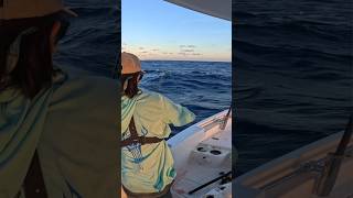 Nice Blackfin Tuna fishing fish tuna shorts viralvideo [upl. by Endaira]