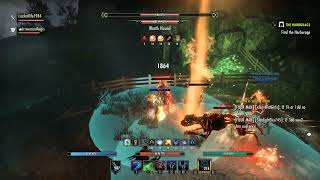 ESO Tanking Guides How to Tank Veteran Shipwrights Regret 2Man Series [upl. by Bassett925]