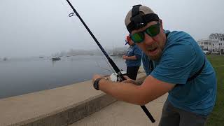 Saltwater fishing in Watch Hill Rhode Island DAY 3 2021 [upl. by Salter]