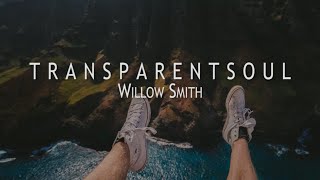 Transparent Soul  Willow Smith  Accoustic Cover Lyrics [upl. by Allemat]