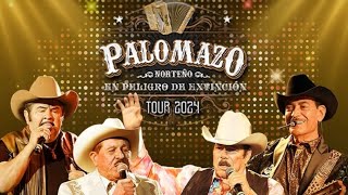 Palomazo Norteño 🪗 En peligro de extinción 🤠 [upl. by Eilsew547]