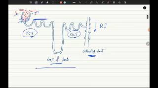 Antidiabetic Drugs P1 [upl. by Oalsinatse]