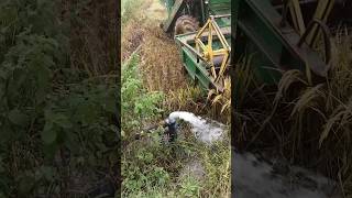 John Deere harvesting reels trending farming folksong harvester harvesting [upl. by Yezdnil]