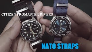 NATO Straps on a Citizen Promaster Diver [upl. by Bel962]