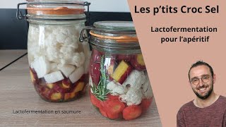 Lactofermentation pour lapéritif [upl. by Ahso83]