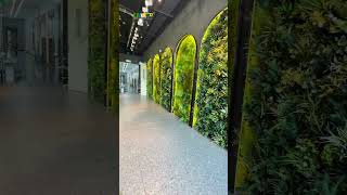 Custom moss wall indoor decoration project [upl. by Nilecoj212]