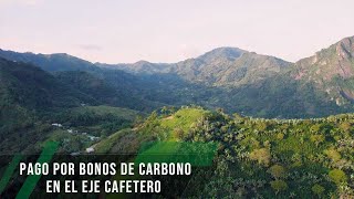 Pago por bonos de carbono en el eje cafetero  TvAgro por Juan Gonzalo Angel Restrepo [upl. by Padriac]