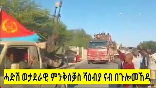 ኣብ ወረዳ ጉሎመኸዳን ኢሮብን ሻዕብያ ሓድሽ ወረራ ፈፂሙ 19 ገዛዉቲ ተቓፂሎም habesha tigraynews targetmedia [upl. by Bently]