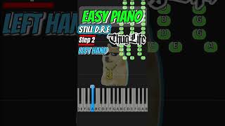 Still DRE  EASY PIANO TUTORIAL  🎹easypianopianotutorialmusicshortsmemescoverthuglife [upl. by Eivod258]