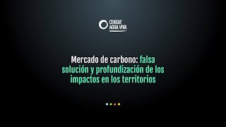 Mercado de carbono falsa solución y profundización de los impactos en los territorios [upl. by Chill]