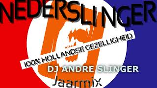 NEDERSLINGER JAARMIX 2023 DEEL F  VLAAMS HOLLANDS [upl. by Vance]