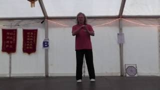 Shibashi III  Taiji Qigong 3rd set [upl. by Drape]