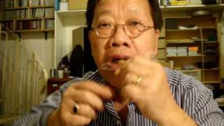 TRAN QUANG HAI transformed a piece of plastic into a Jews harp [upl. by Hanover762]