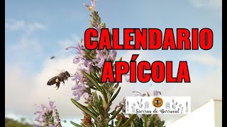 Calendario apícola [upl. by Azaleah454]