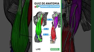 🔴👉 QUIZ DE ANATOMIA 🟨 Aula de Anatomia humana shorts [upl. by Lingwood905]