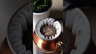 Brewing with kalita wave flat dripper [upl. by Netaf990]