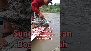 Hasil mancing di MLM hari mancingikan shortvideo [upl. by Cailly742]