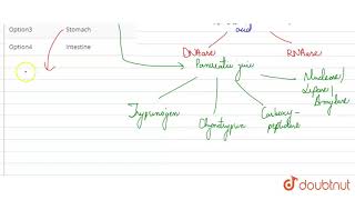 DNase and RNase enzymes produced by [upl. by Schinica]