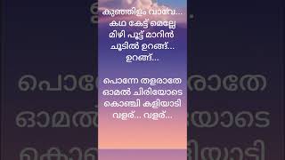 Arm song lyrics Malayalam [upl. by Atnauqahs680]