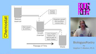 Chemostat [upl. by Thecla]