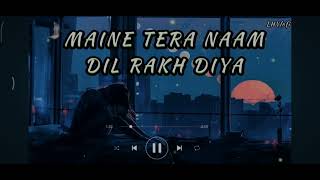 MAINE TERA NAAM DIL RAKH DIYA  Slowed  Reverb [upl. by Nyrahtak431]